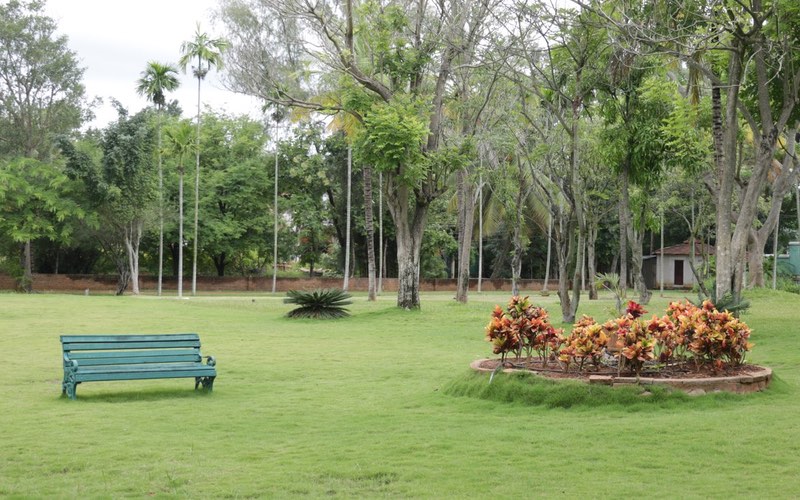 Big Banyan Vineyard & Resort