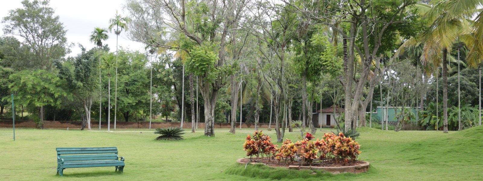 Big Banyan Vineyard & Resort